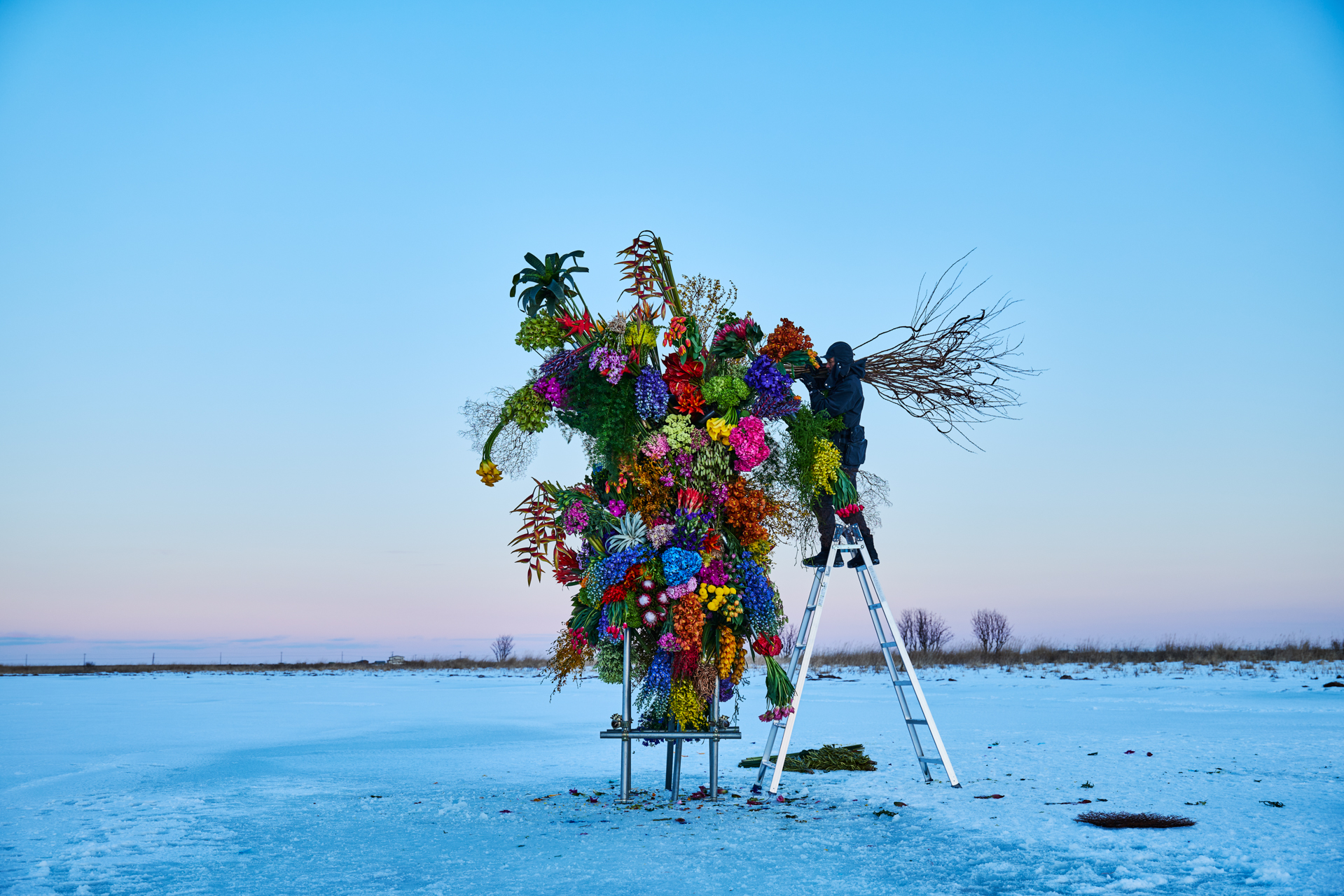 Frozen Flowers 2025 | AMKK（東信, 花樹研究所）